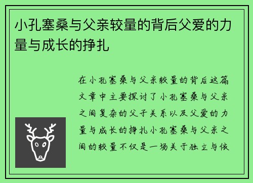小孔塞桑与父亲较量的背后父爱的力量与成长的挣扎