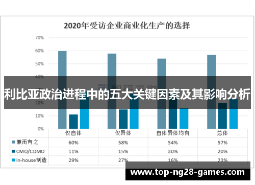 利比亚政治进程中的五大关键因素及其影响分析